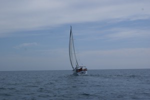 sailing_away        